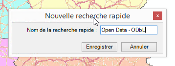 "Nommer une recherche rapide"